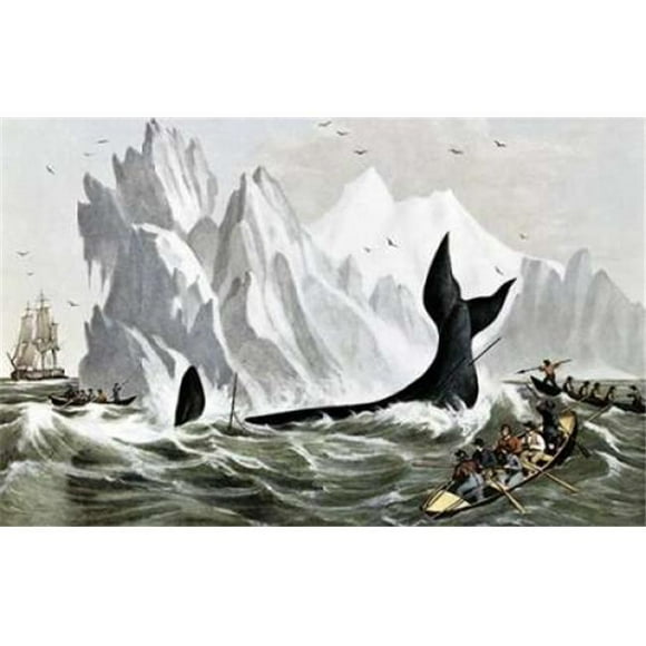Bentley Global Arts PDX277171LARGE Capturant l'Impression d'Affiches de Baleines par le Currier & Ives&44; 24 x 36 - Grand