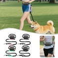 thumbnail image 4 of Pet Running Leash Reflective Sports Rope Set with Waist Bag for Dogs Outdoor Jogging Walking Training Exercise, 4 of 4