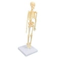 thumbnail image 1 of Anatomía Modelo de Esqueleto del Cuerpo Humano, Detalla Educativos Exquisitos Modelo Esqueleto del Cuerpo Humano Confiable Con la base para el Aprendizaje Artínstico, 1 of 7