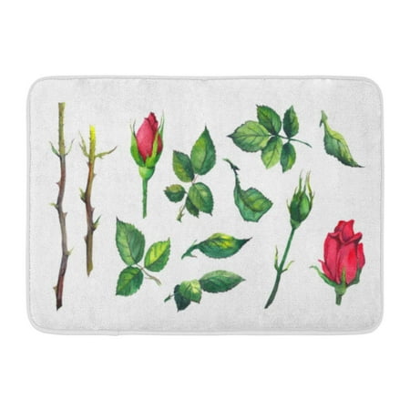Red Floor Broom GODPOK Blossom Watercolour of Leaves Buds Stems Red Rose Flower Watercolor Botanical White Bloom Botanic Rug Doormat Bath Mat 23.6x15.7 inch ()