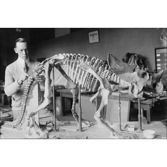 24"x36" Gallery Poster, Norman Ross, Paleontology, with baby Brachyceratops 1921