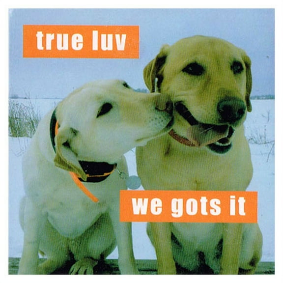 I Can Has Cheezburger 'True Luv' Large Magnet / Favor (1ct)