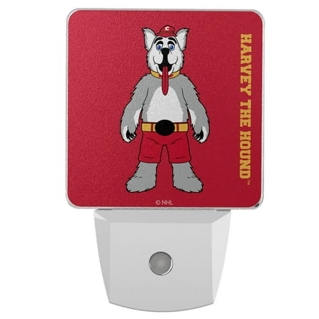 

Calgary Flames 2-Pack Solid Design Mascot Nightlight Set