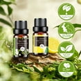 thumbnail image 6 of Aeshory Essential Oils Set - 32x5ml Pure Aromatherapy Essential Oils Kit for Diffuser, Aromatherapy, Massage, Skin Care, 6 of 7