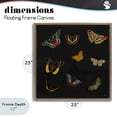 thumbnail image 4 of Stupell Industries Cottage Butterfly & Moth Collection Brown Floating Frame Canvas Art, 25 x 25, by Dan Meneely, 4 of 8