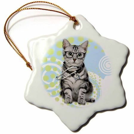 3dRose Silver Tabby Cat in Eyeglasses with a Stethoscope Doctor - Snowflake Ornament, 3-inch