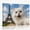 B, variant on XaaKee Canvas Wall Art Prints White Persian Cat Selfie Parisian Scenery Art Prints Inner Framed 18*12Inch