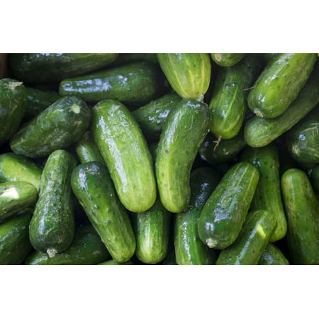 Pickling Cucumbers for Sale at a Farmer's Market, Charleston, South Carolina. USA Print Wall Art By Julien (Best Towns In South Carolina)
