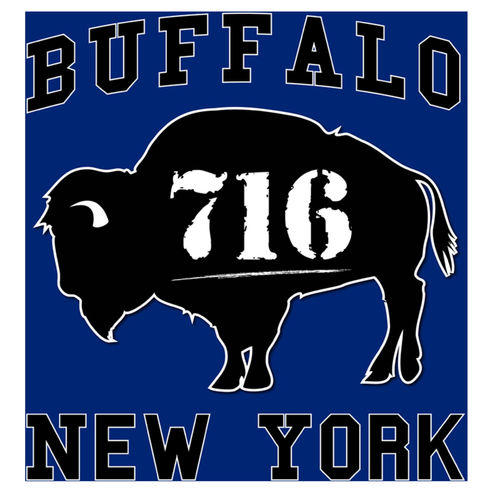 Toland Home Garden Buffalo 716 Flag