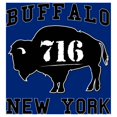 thumbnail image 1 of Toland Home Garden 1012039 Buffalo Decorative New York Regional Area Code House Flag 28 x 40 Inch, 1 of 1