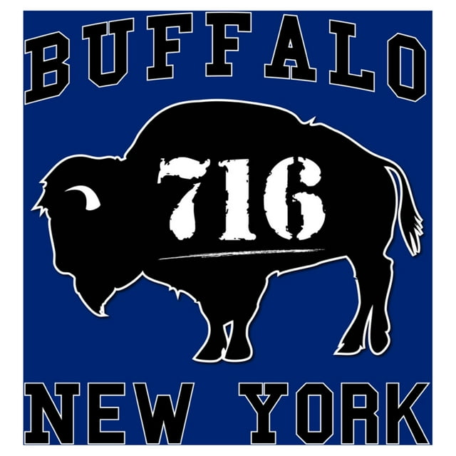 Toland Home Garden 1012039 Drapeau de Maison Décoratif Région de New York 28 x 40 Pouces