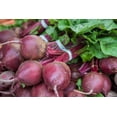 thumbnail image 7 of Beet Root Powder, 0.75 Pounds — Raw, Vegan, Kosher — by Food to Live, 7 of 7