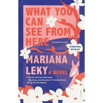 What You Can See from Here, (Paperback)