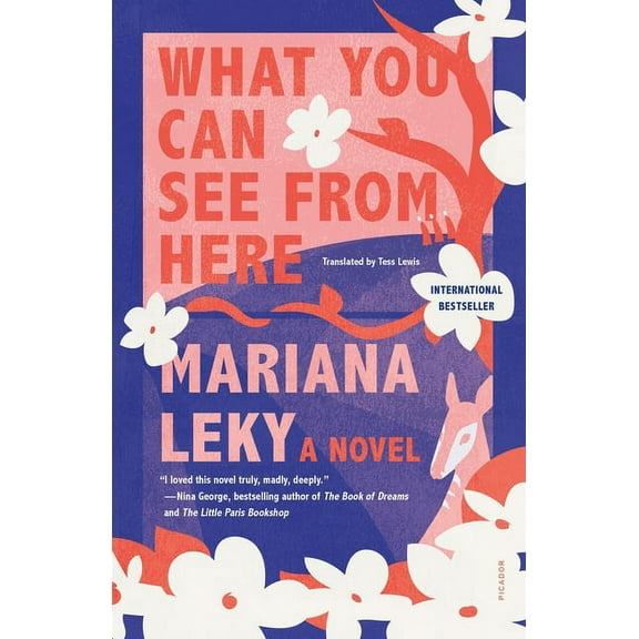 What You Can See from Here, (Paperback)