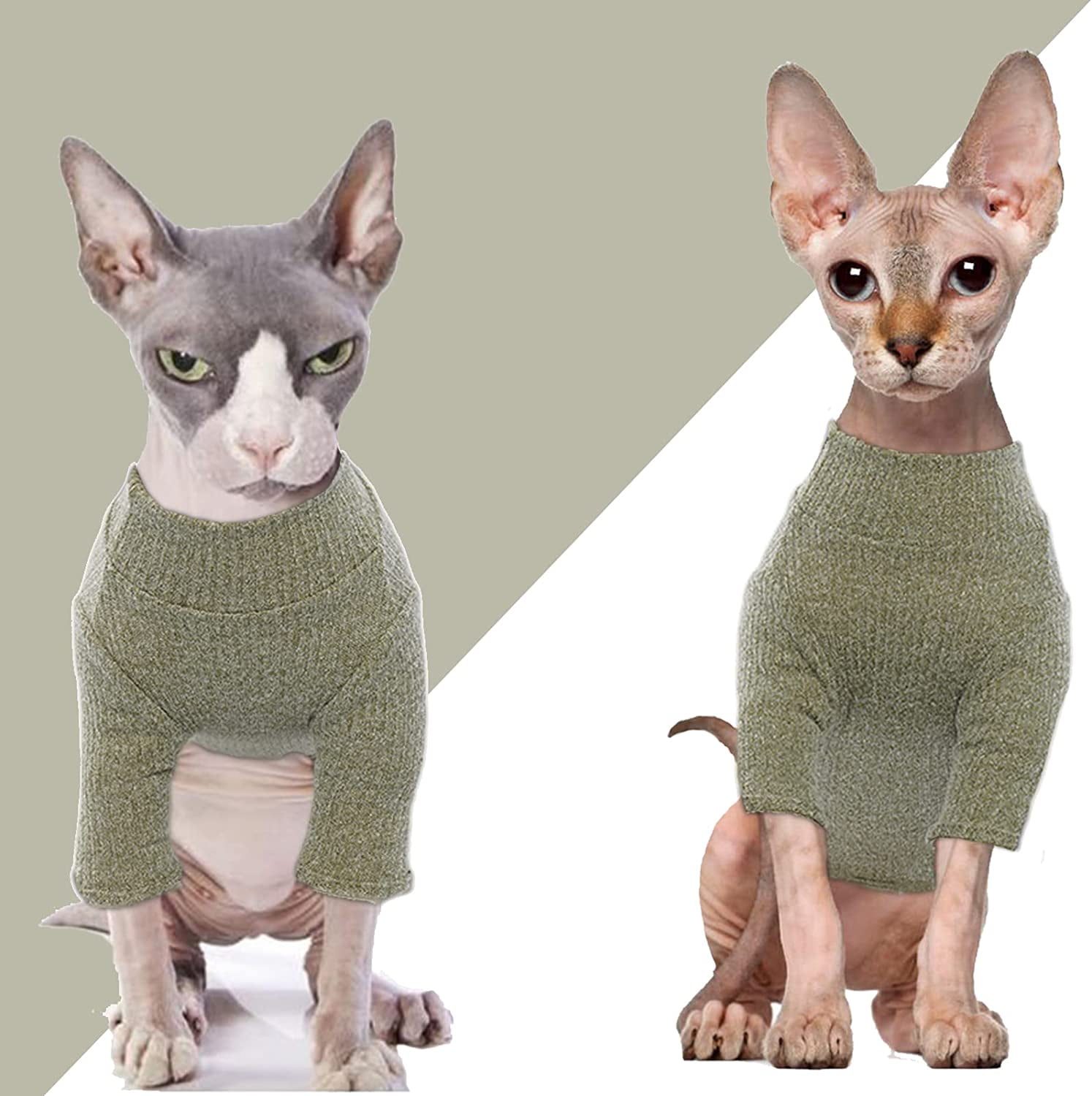Lily Blue Cat Shirt - For Hairless Sphynx Cats