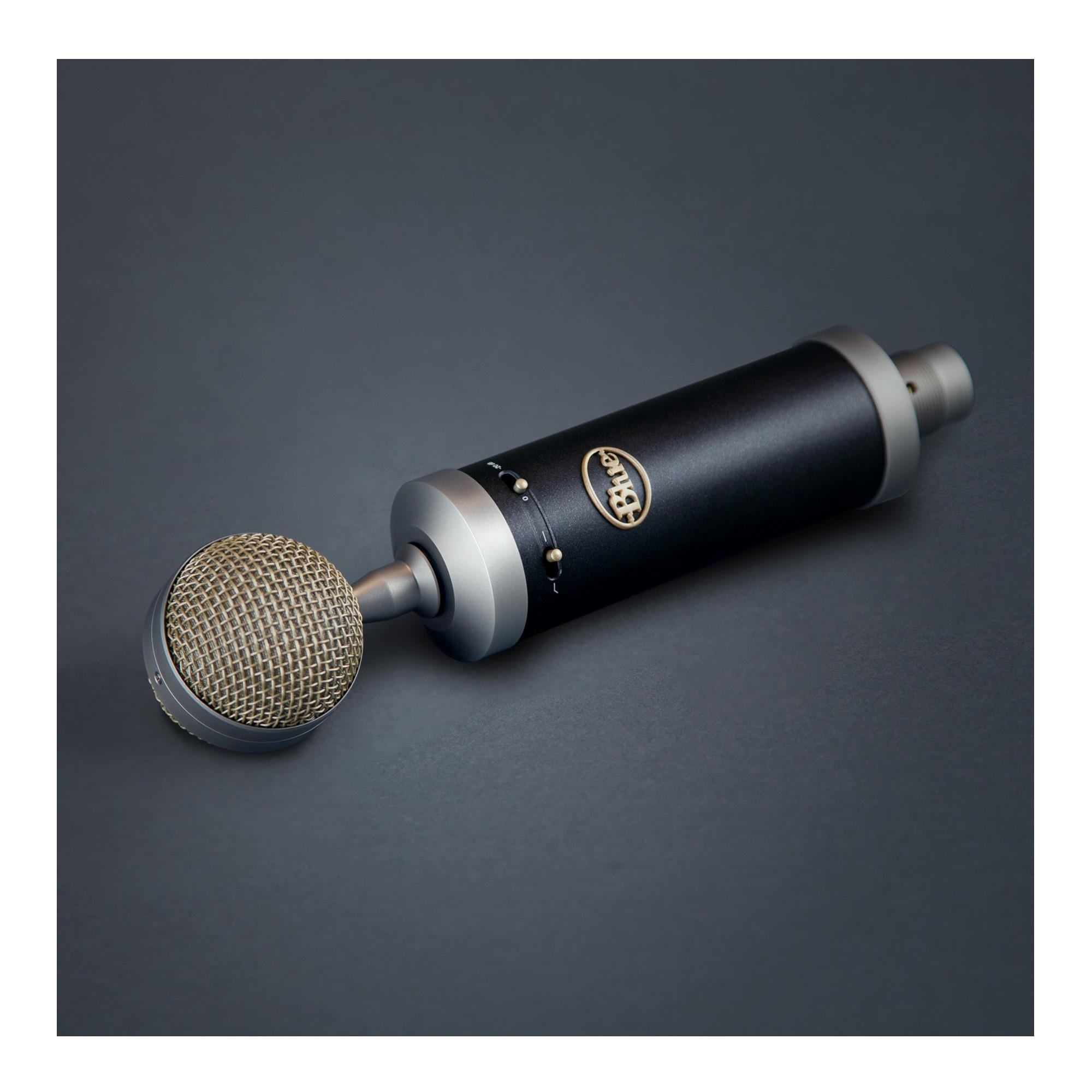 Blue Microphones Baby Bottle SL Large-Diaphragm Cardioid Condenser Microphone