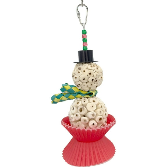 1501 Sola Snowcone