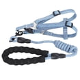 thumbnail image 1 of Arnés para perros con correa ajustable y a prueba de fugas para caminar (M (apto para 47,5 kg)), 1 of 14