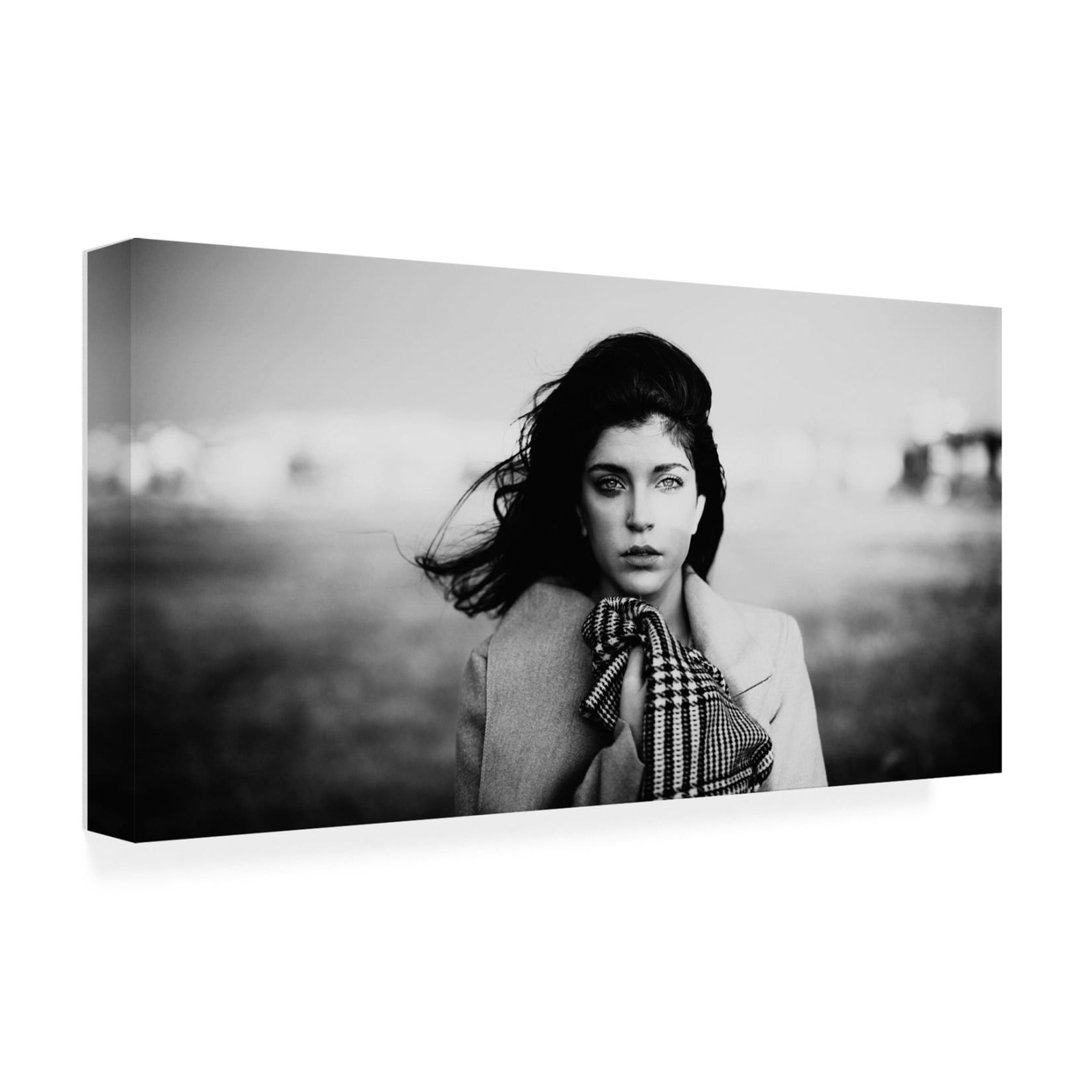 Canvas Wall Art - Koki Jovanovic 'Fractal Portraits' Wall Art for Living Room, Bedroom, or Office Décor by Trademark Fine Art - 32 x 16 Inches