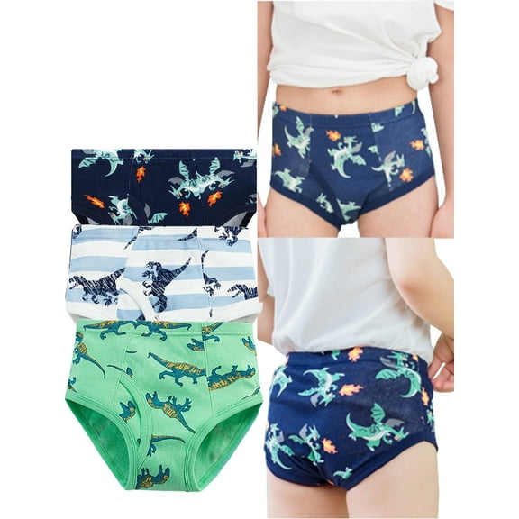 HWJAD 2-10 Years Little Boys Dinosaur Briefs Toddler Kids Underwear Soft Cotton Shark Undies (Pack of 3)