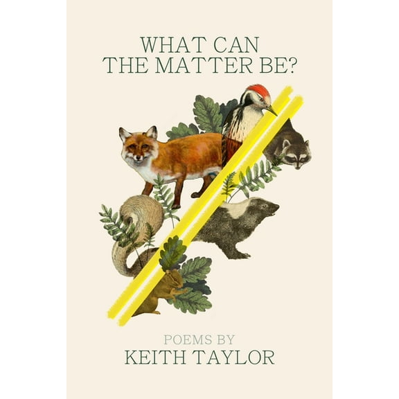 Made in Michigan Writers What Can the Matter Be?, (Paperback)