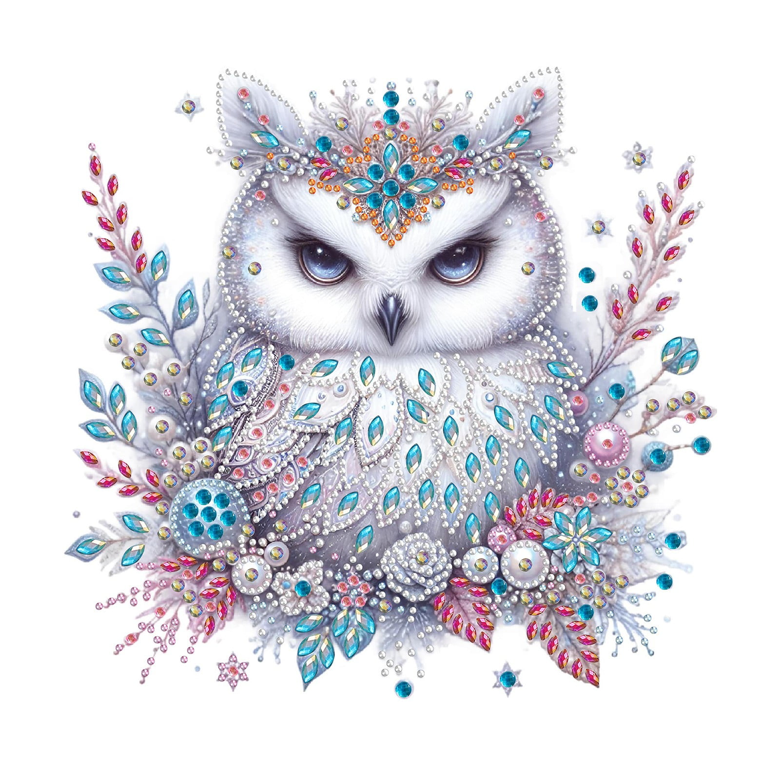 Diamond Art Painting Kit for Adults Beginners White-Headed Owl Pattern Crystal Rhinestones Gem Art Diamond Dots Paintings Crafts for Home Wall Decoration Gift C