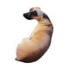 thumbnail image 5 of Almohada de perro 3D, juguete de peluche de animales de peluche, reposacabezas cómodo abrazando a los niños acompañan juguetes para la decoración de, 5 of 8