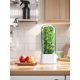 thumbnail image 2 of Protector Hierbas para Refrigerador Cápsula Protectora Hierbas Transparente para Espárragos Con Cilantro Y Perejil, 2 of 9