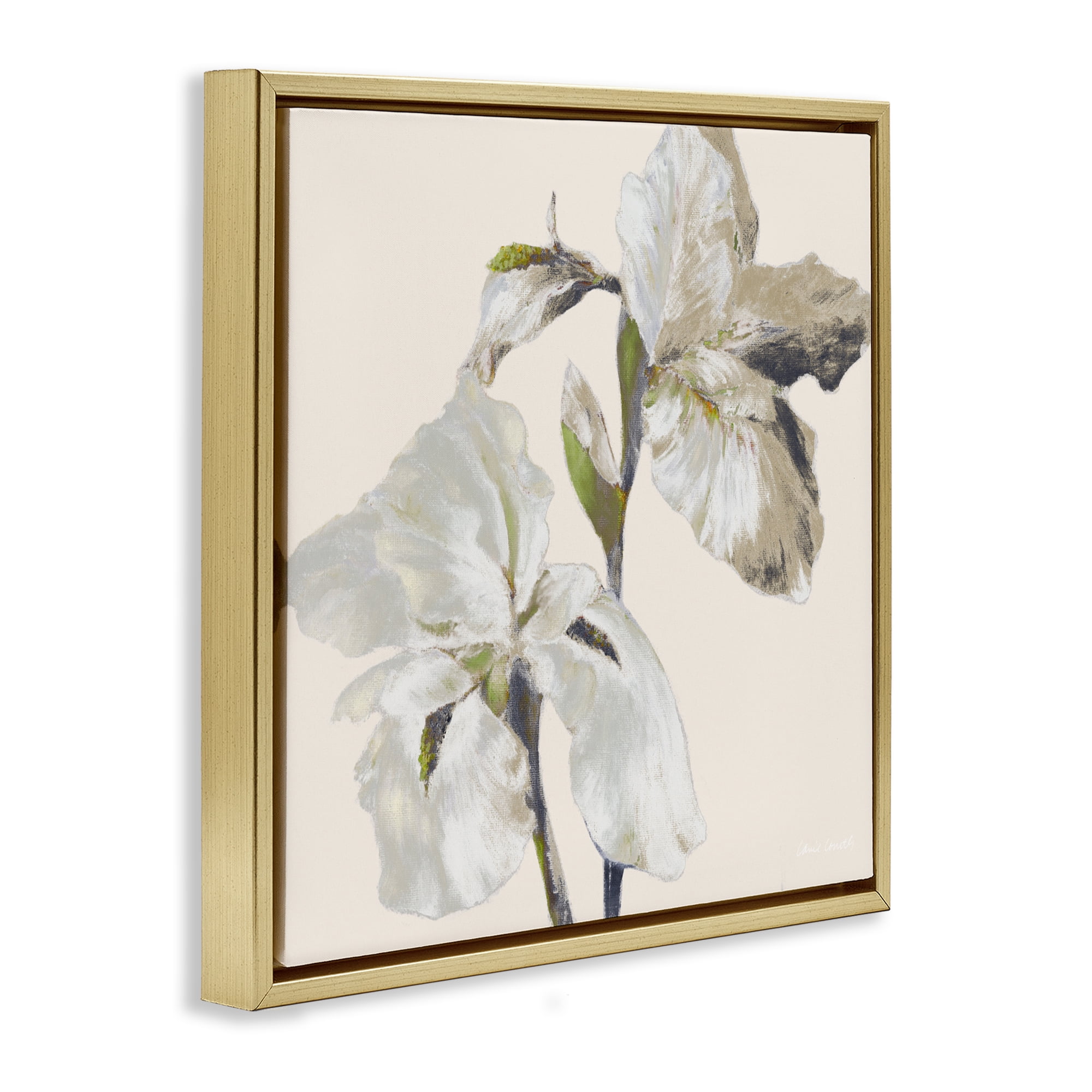 Stupell Industries Irises Soft Beige Gold Framed Floater Canvas Wall Art, design by Lanie Loreth