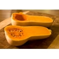 thumbnail image 2 of TomorrowSeeds - Waltham Butternut Squash Seeds - 180+ Count - For 2026 Planting Gramma Spaghetti, 2 of 11