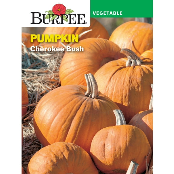 Burpee Cherokee Bush Pumpkin Vegetable Seed, 1-Pack