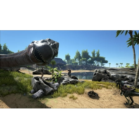 Best options for ark survival