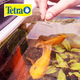 thumbnail image 2 of Tetrapond Koi Vibrance 5.2 Lb 2.35 kg Tetra, 2 of 2