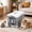 Gray, variant on Foldable Pet Carrier Crate for Cats and Dogs, Travel Transport Kennel, Collapsible Plastic Design with Car Safety Straps, Portable Outdoor Airline Approved Traveler Box, Space Saving Home Storage