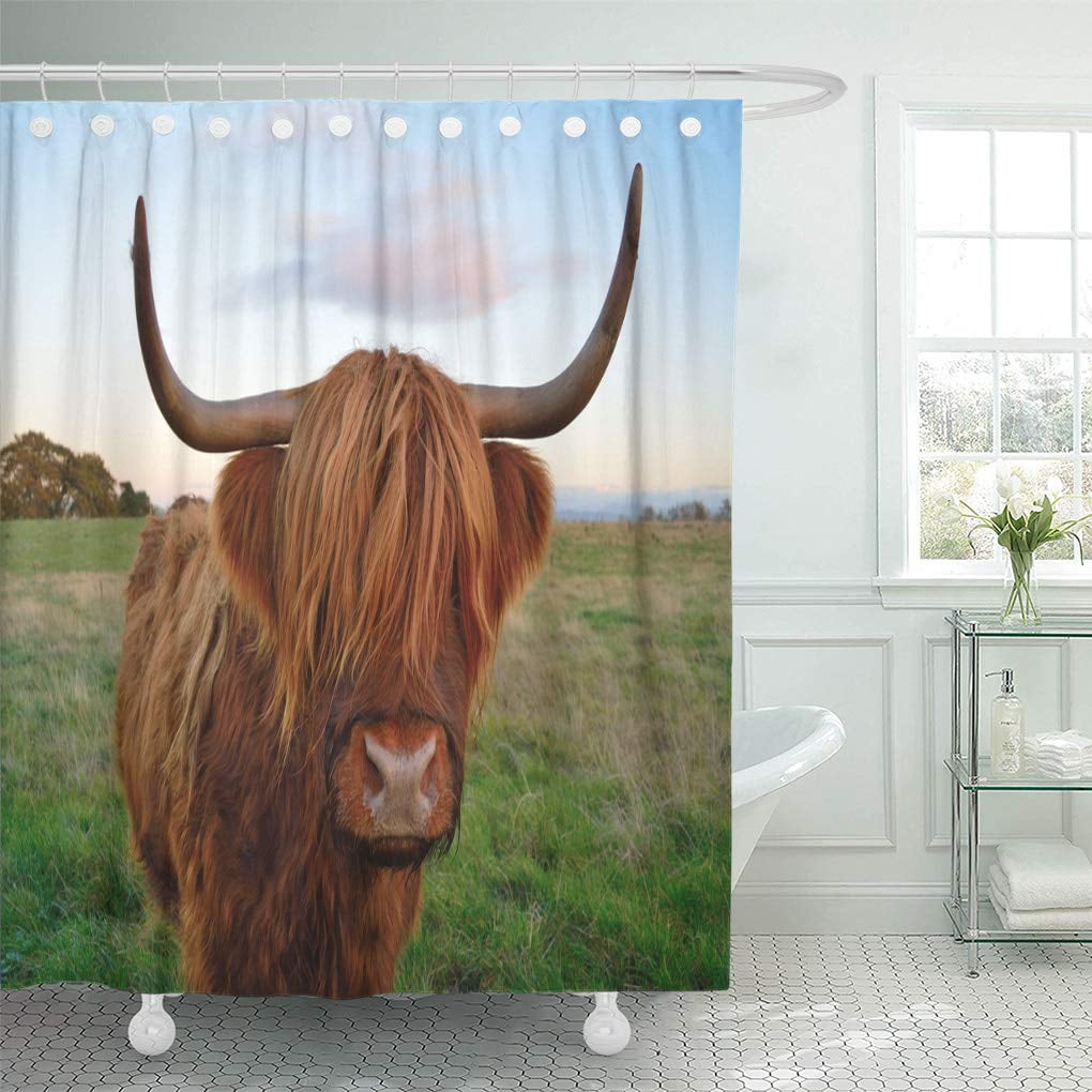 Cynlon Brown Scottish Highland Cattle Red Agriculture Beef Breed Bathroom Decor Bath Shower Curtain 60x72 Inch Walmart Com Walmart Com