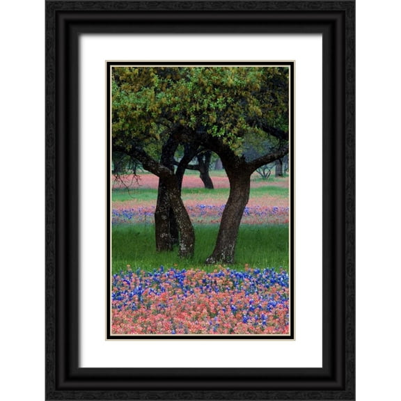 Rotenberg, Nancy 23x32 Black Ornate Wood Framed with Double Matting Museum Art Print Titled - TX, Hill Country, Texas flowers and Dancing Trees
