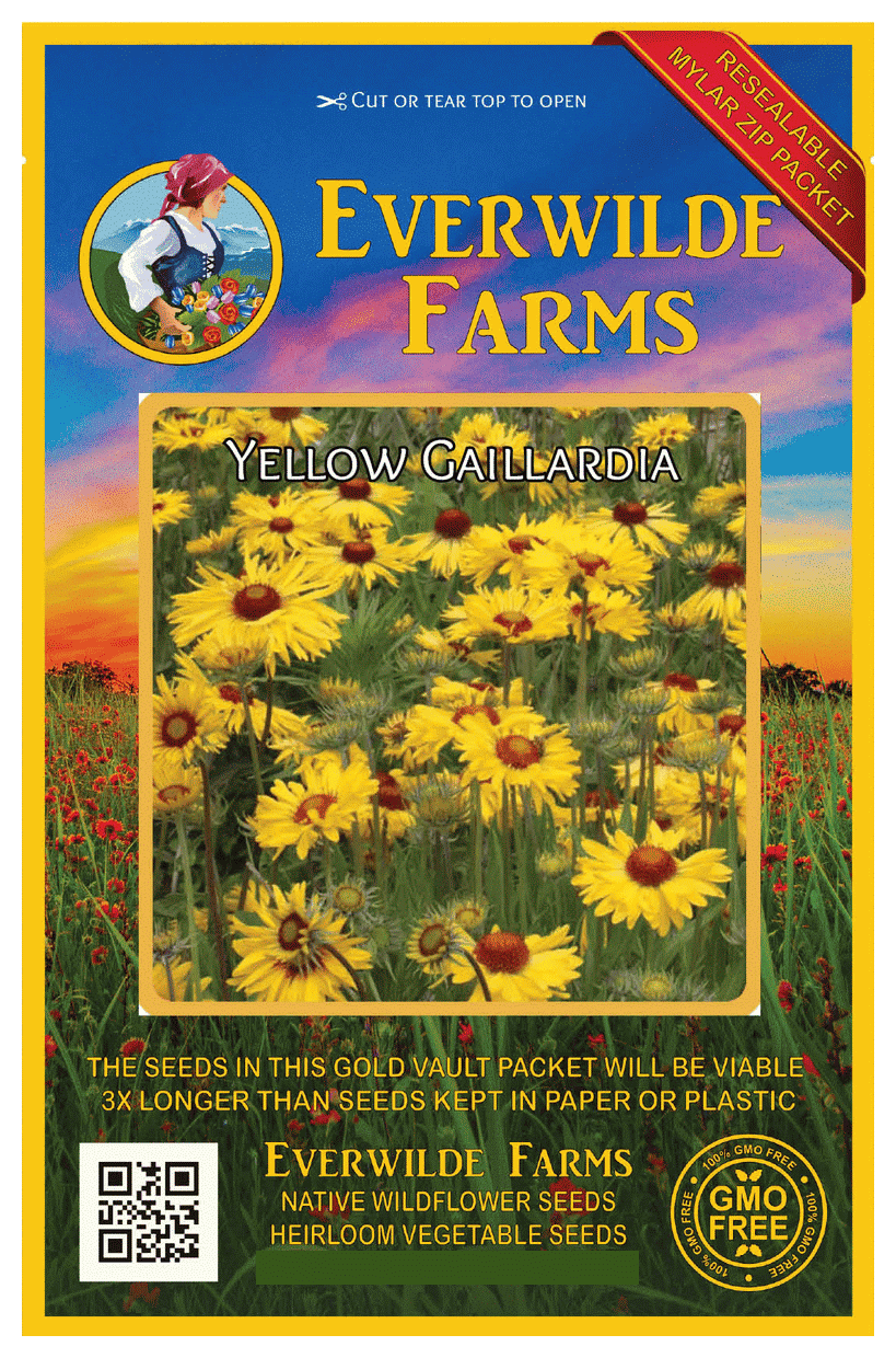Everwilde Farms 500 Yellow Gaillardia Native Wildflower Seeds Gold
