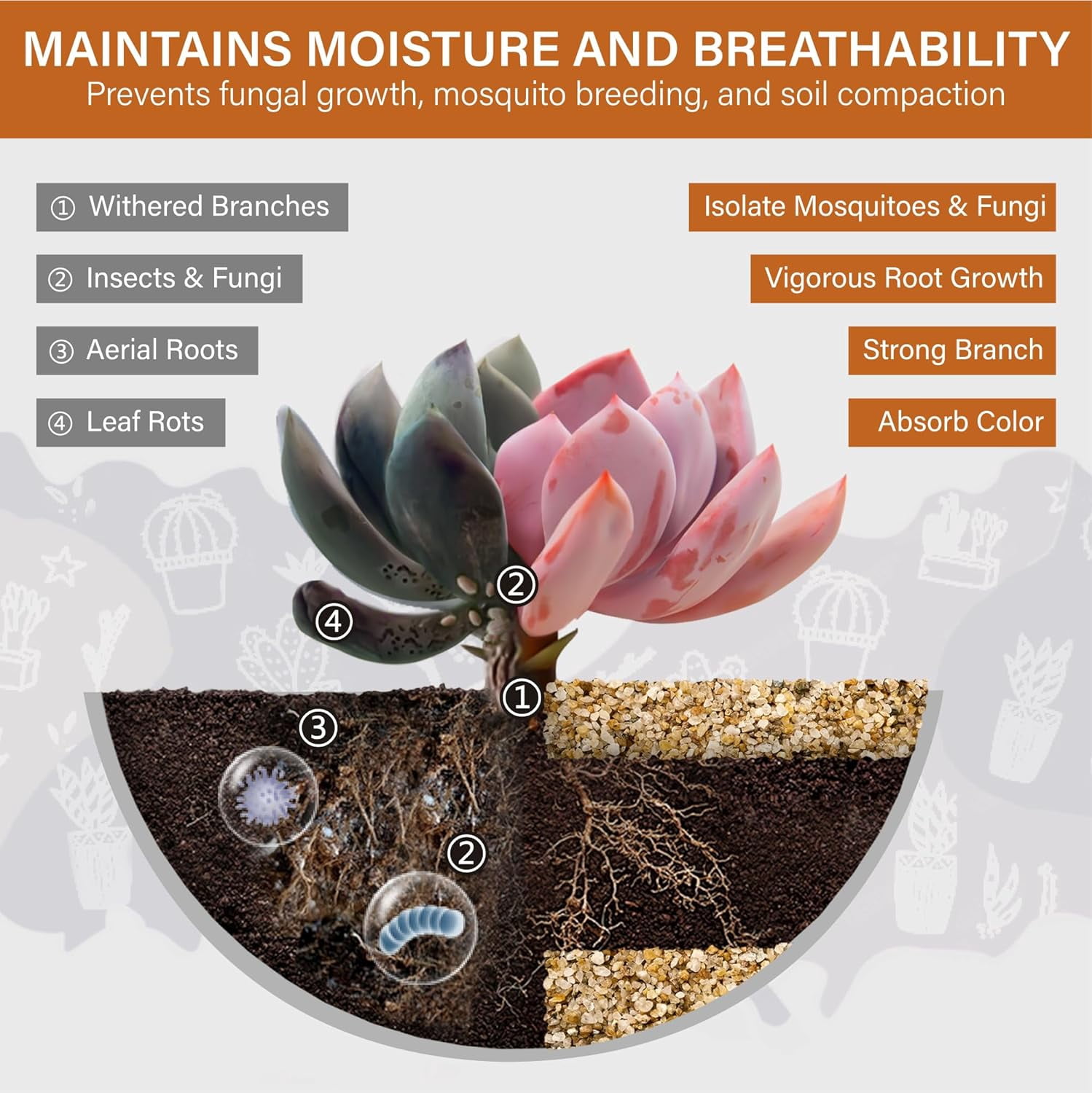 1-2mm Coarse Sand for Plants, 6lb Horticultural Grit for Succulents, Desert Silica Sand for Cactus, Decorative Gravel for Landscaping, Gold Grit for Aquariums, Bonsai, Vases Fillers