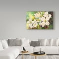 thumbnail image 3 of Trademark Fine Art 'White Dogwood' Canvas Art by Joanne Porter, 3 of 3