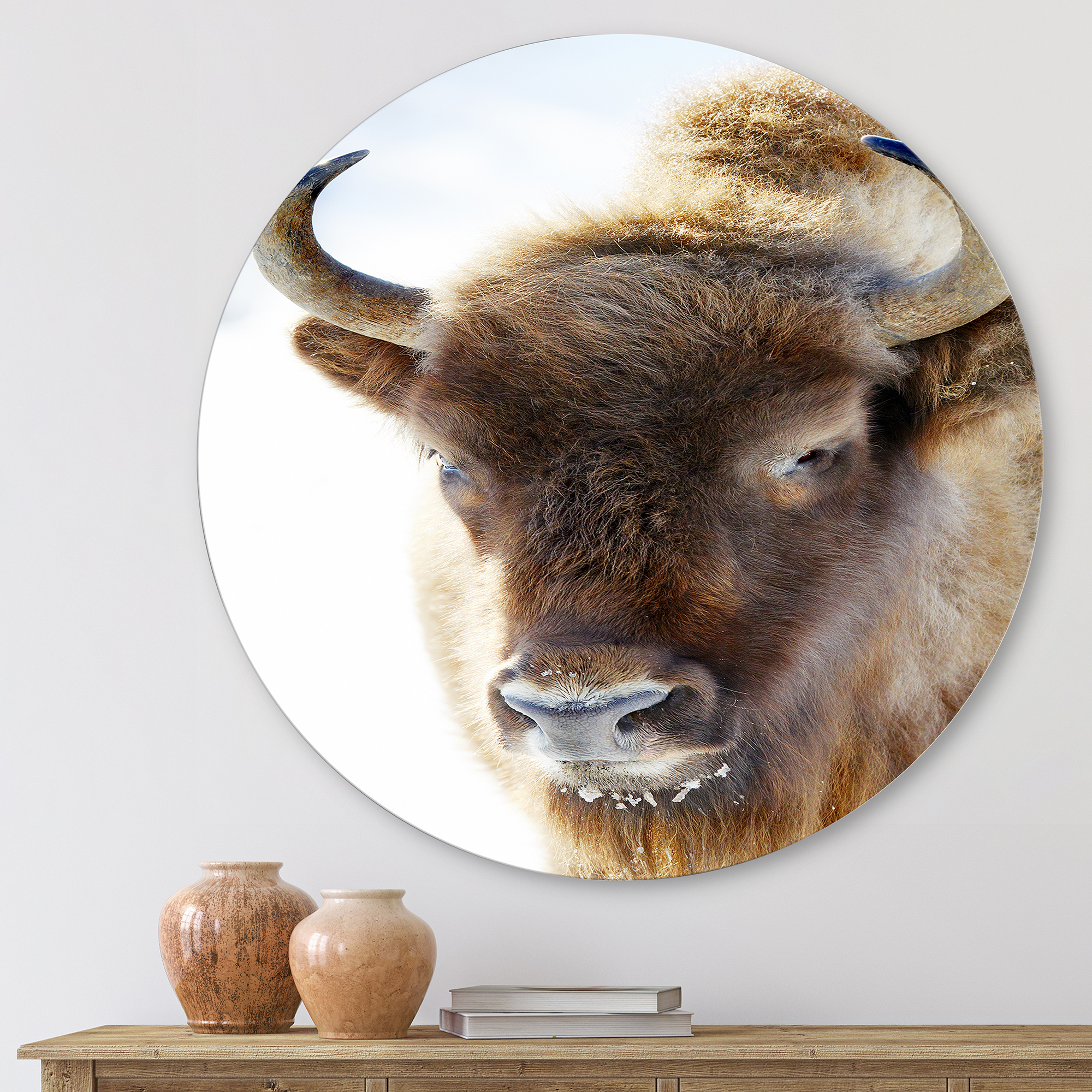 Designart 'Close UP Of Wild Bison' Farmhouse Circle Metal Wall Art 23x23 - Disc of 23
