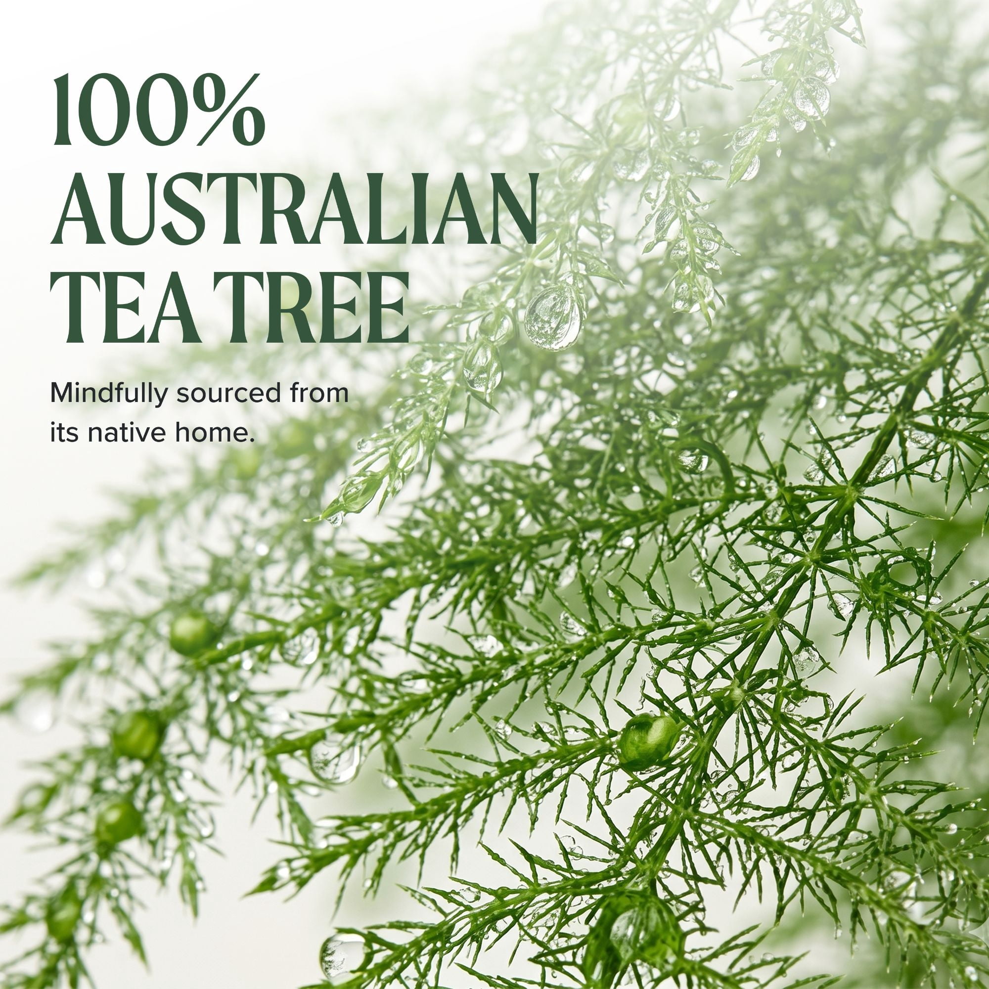 Tea Tree Hair and Body Moisturizer Leave-In Conditioner, Body Lotion, After-Shave Cream, For All Hair + Skin Types, 33.8 oz.