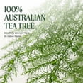 thumbnail image 6 of Tea Tree Hair and Body Moisturizer Leave-In Conditioner, Body Lotion, After-Shave Cream, For All Hair + Skin Types, 33.8 oz., 6 of 12