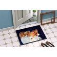 thumbnail image 4 of Carolines Treasures 7241MAT Tapis d'Extérieur Intérieur Papillon 18 x 27 Po, 4 of 4