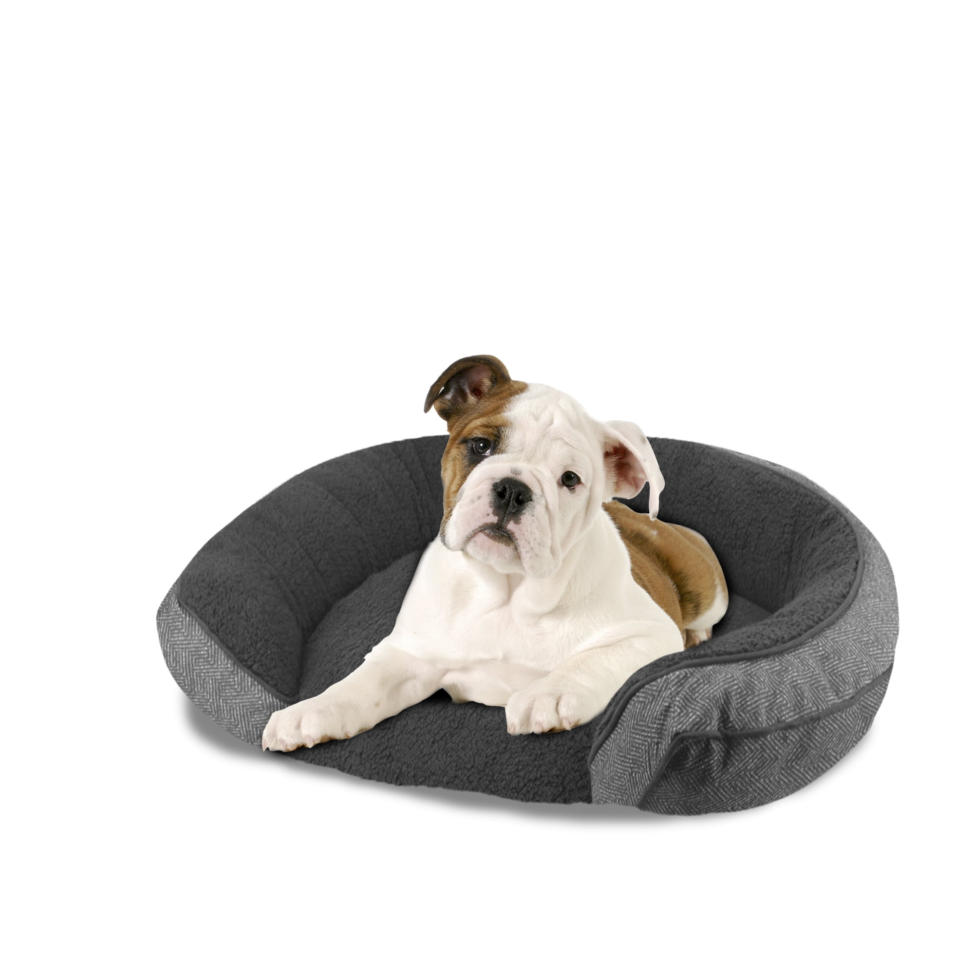 Pawslife orthopedic step in bed online
