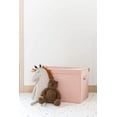 thumbnail image 3 of 3 Sprouts Recycled Fabric Folding Chest Organizer in Clay - Collapsible Storage Basket Container with Lid & Handles, 3 of 6
