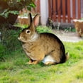 thumbnail image 2 of MKHSQHDG Today's Deals Rabbit Acrylic Outdoor Garden Ground Insert Garden Garden Decoration Insert Card, 2 of 8