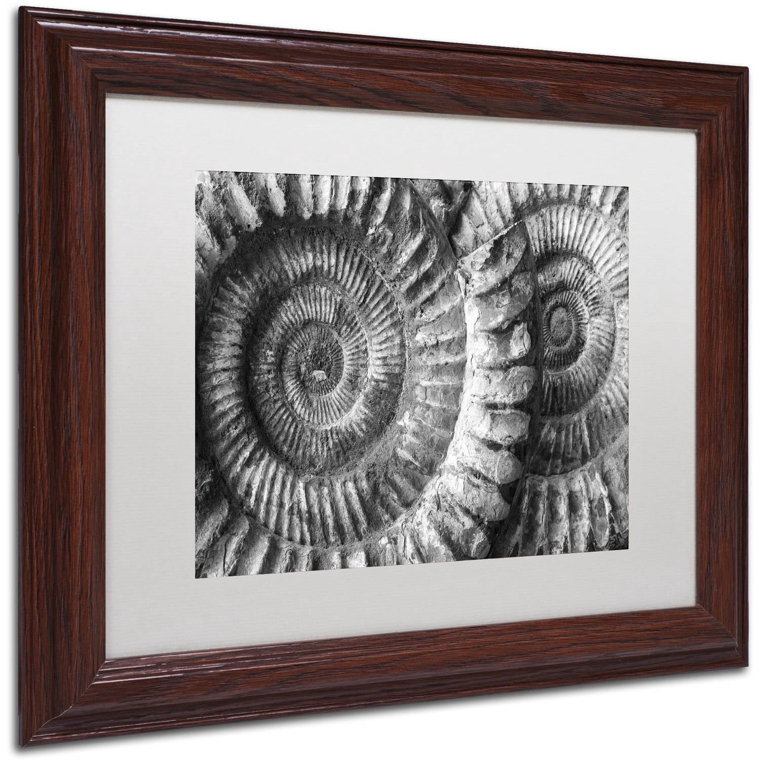 Trademark Fine Art "Amonita 3" Canvas Art by Moises Levy White Matte, Wood Frame
