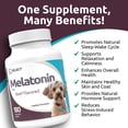 thumbnail image 6 of K9 Select Melatonin Tablets for Dogs, Beef Flavor, 180 Count, 6 of 7