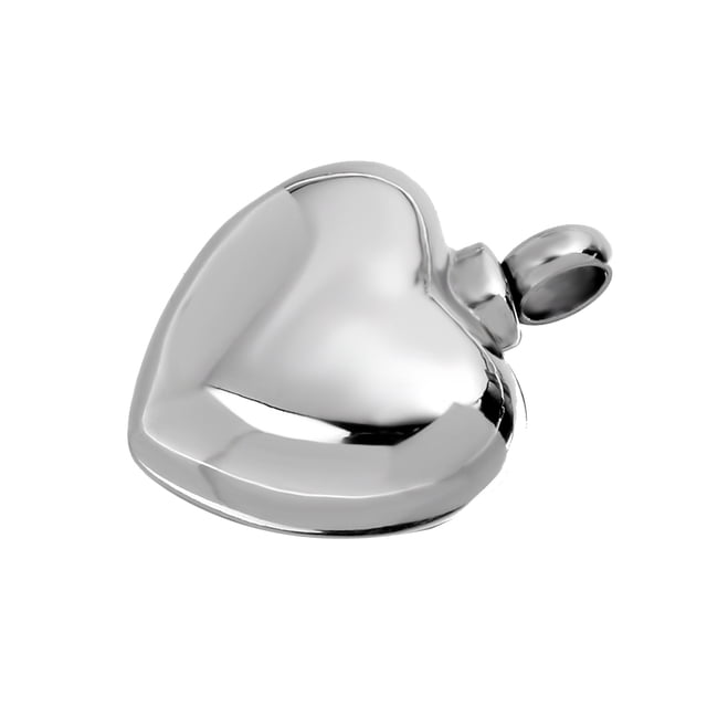 Diseño del Corazón Monumento Cenizas Animal Doméstico Pendiente Cremación Acero Inoxidable Sunnimix Colgante unisex