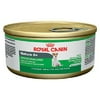 Royal Canin Small Breed Senior Wet Dog Food, 5.8 oz (Case of 24)